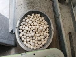 Used 2010 Maxsil Mining Processing & Plant | Grinding Mill | Ball Type - For Sale